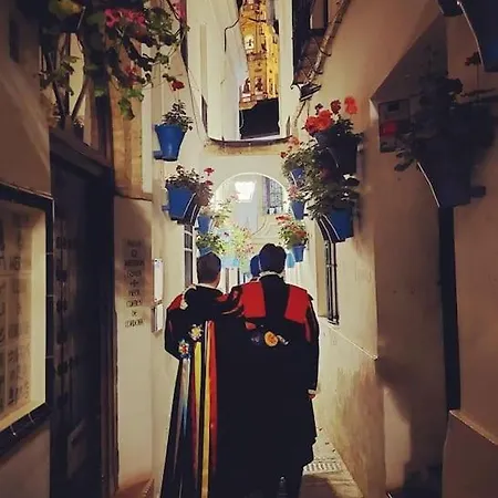 公寓 Cordvba Osario Centro *