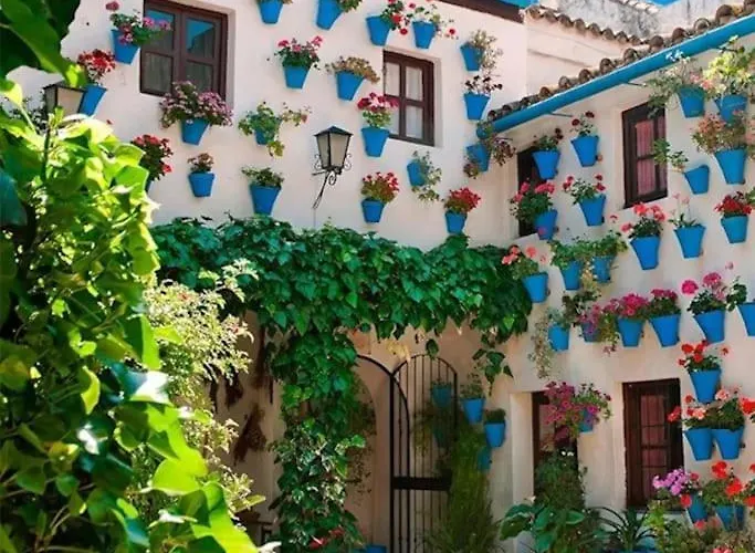 Appartement Cordvba Osario Centro