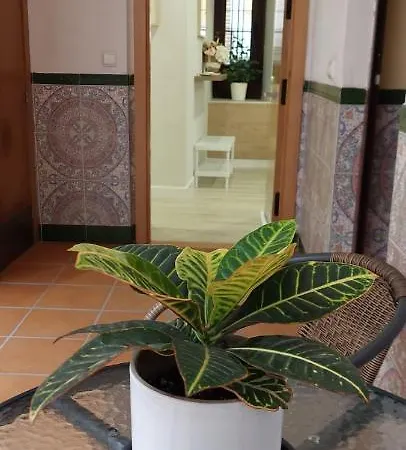 Apartment Cordvba Osario Centro