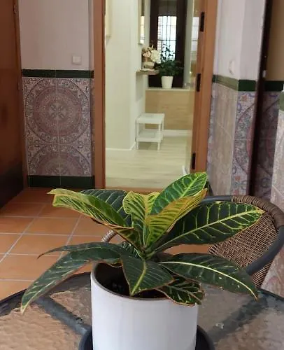 Apartamento Cordvba Osario Centro